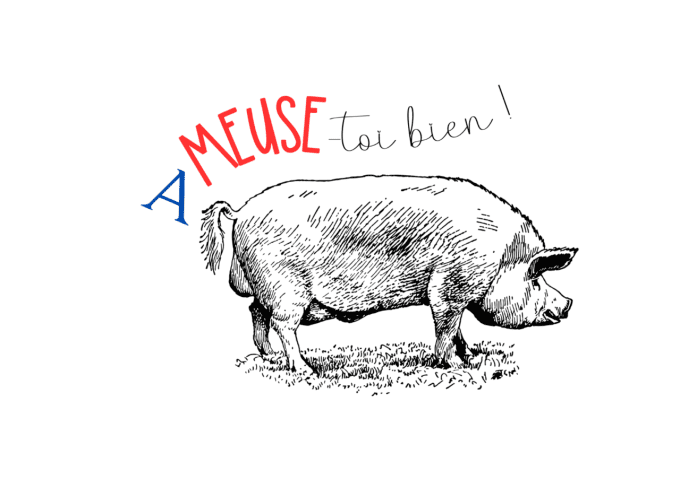 Mug "Ameuse-toi bien"  - cochon